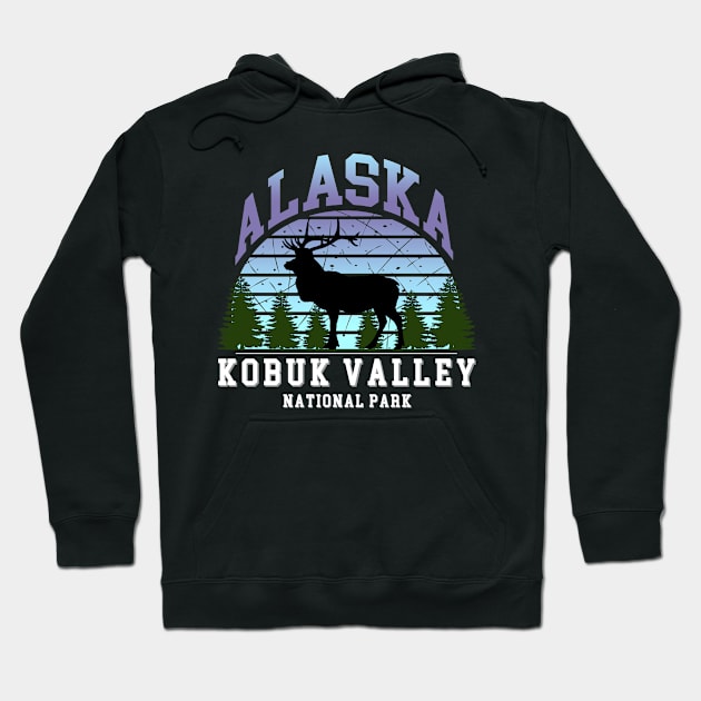 Kobuk Valley National Park Hoodie by Energized Designs